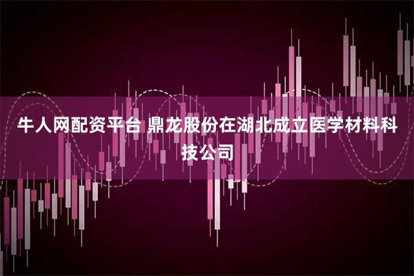 牛人网配资平台 鼎龙股份在湖北成立医学材料科技公司